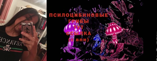 крисы Абдулино