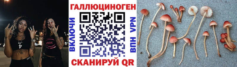 Галлюциногенные грибы мицелий Скопин