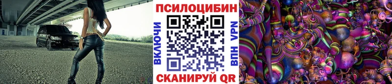 закладки  Скопин  Псилоцибиновые грибы Cubensis 
