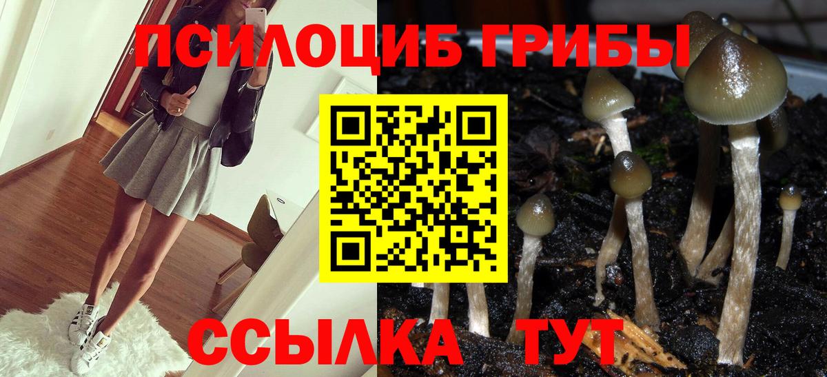 Галлюциногенные грибы Cubensis Скопин